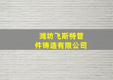 潍坊飞斯特管件铸造有限公司