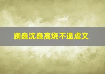 澜巍沈巍高烧不退虐文