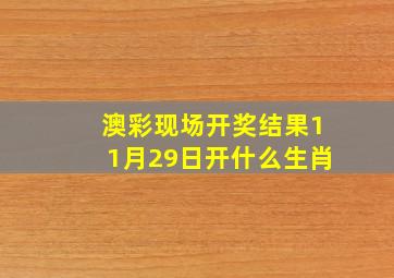 澳彩现场开奖结果11月29日开什么生肖