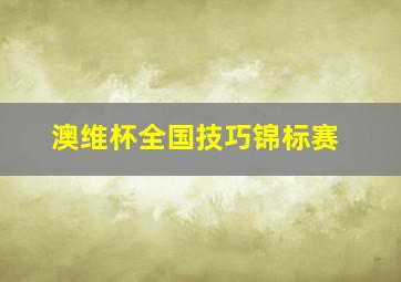 澳维杯全国技巧锦标赛