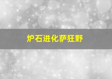 炉石进化萨狂野