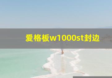 爱格板w1000st封边