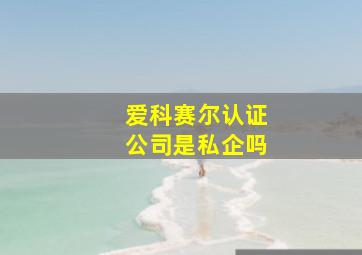 爱科赛尔认证公司是私企吗