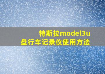 特斯拉model3u盘行车记录仪使用方法