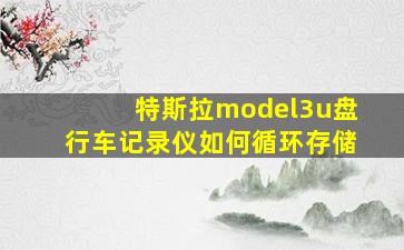 特斯拉model3u盘行车记录仪如何循环存储