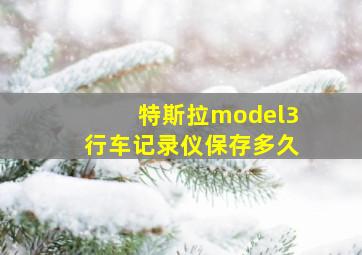 特斯拉model3行车记录仪保存多久