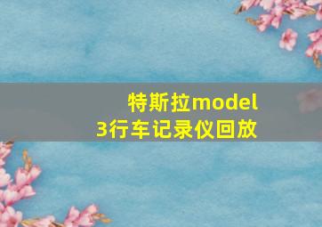 特斯拉model3行车记录仪回放