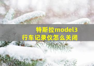 特斯拉model3行车记录仪怎么关闭