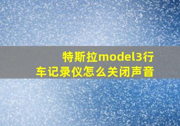 特斯拉model3行车记录仪怎么关闭声音