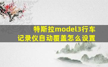 特斯拉model3行车记录仪自动覆盖怎么设置