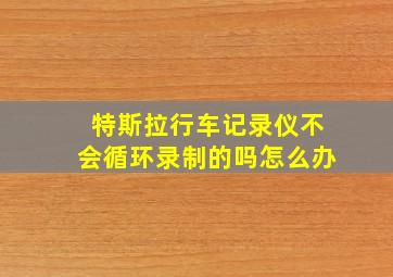 特斯拉行车记录仪不会循环录制的吗怎么办