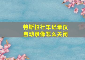 特斯拉行车记录仪自动录像怎么关闭