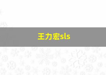 王力宏sls