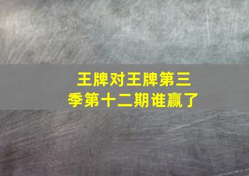 王牌对王牌第三季第十二期谁赢了