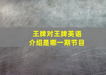 王牌对王牌英语介绍是哪一期节目