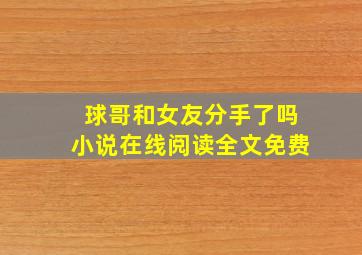 球哥和女友分手了吗小说在线阅读全文免费