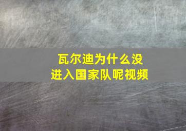 瓦尔迪为什么没进入国家队呢视频