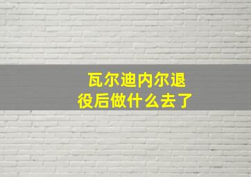 瓦尔迪内尔退役后做什么去了