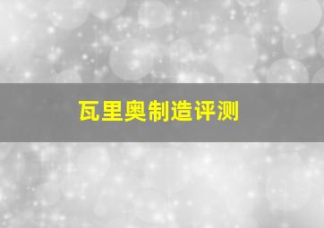 瓦里奥制造评测