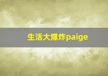 生活大爆炸paige