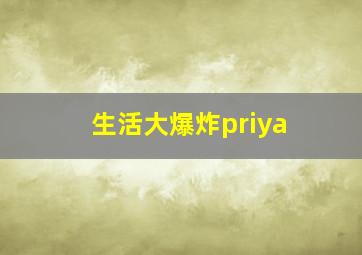 生活大爆炸priya