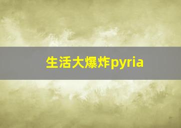 生活大爆炸pyria