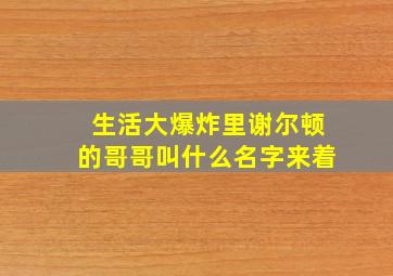 生活大爆炸里谢尔顿的哥哥叫什么名字来着