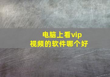 电脑上看vip视频的软件哪个好