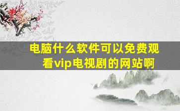 电脑什么软件可以免费观看vip电视剧的网站啊