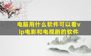 电脑用什么软件可以看vip电影和电视剧的软件