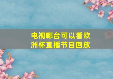 电视哪台可以看欧洲杯直播节目回放