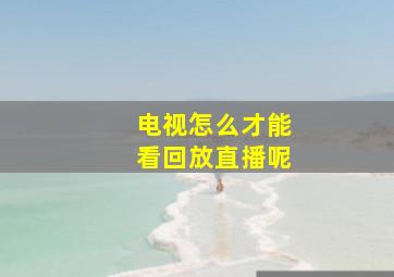 电视怎么才能看回放直播呢