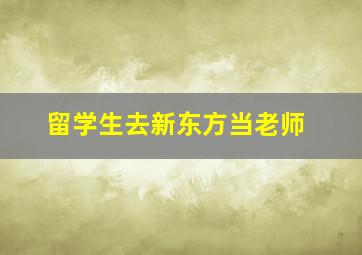 留学生去新东方当老师