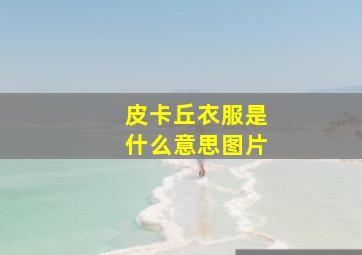 皮卡丘衣服是什么意思图片