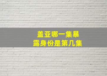 盖亚哪一集暴露身份是第几集