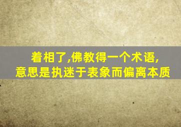 着相了,佛教得一个术语,意思是执迷于表象而偏离本质