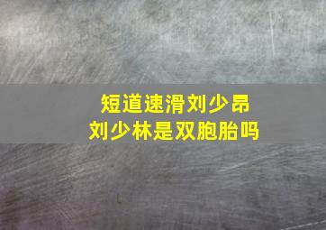 短道速滑刘少昂刘少林是双胞胎吗