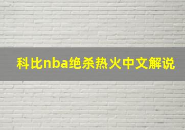 科比nba绝杀热火中文解说