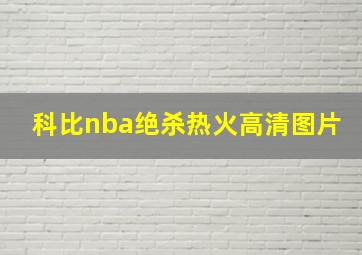 科比nba绝杀热火高清图片