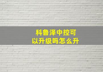 科鲁泽中控可以升级吗怎么升