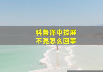 科鲁泽中控屏不亮怎么回事