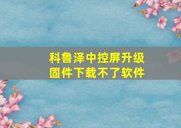 科鲁泽中控屏升级固件下载不了软件