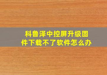 科鲁泽中控屏升级固件下载不了软件怎么办