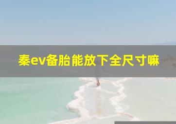 秦ev备胎能放下全尺寸嘛