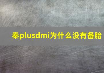 秦plusdmi为什么没有备胎