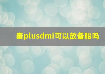 秦plusdmi可以放备胎吗