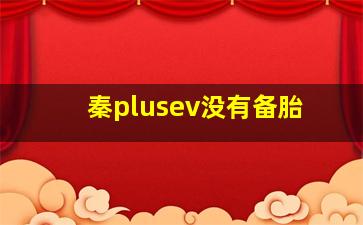 秦plusev没有备胎