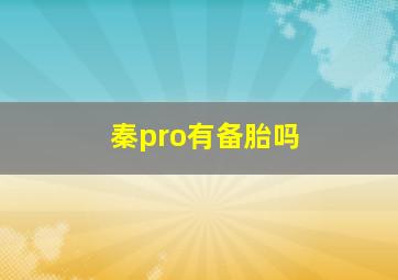 秦pro有备胎吗