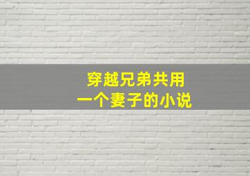 穿越兄弟共用一个妻子的小说