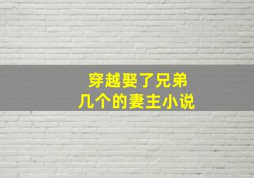 穿越娶了兄弟几个的妻主小说